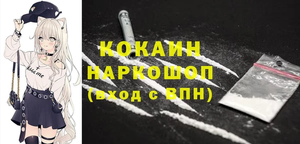 сатива Туринск